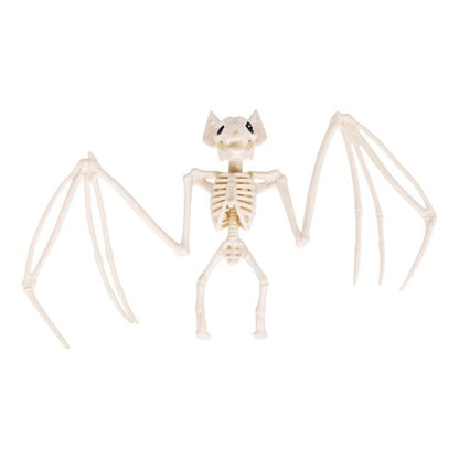 Halloween Bat Skeleton with Open Wings in Natural Color for Mantels and Branch Scenes
