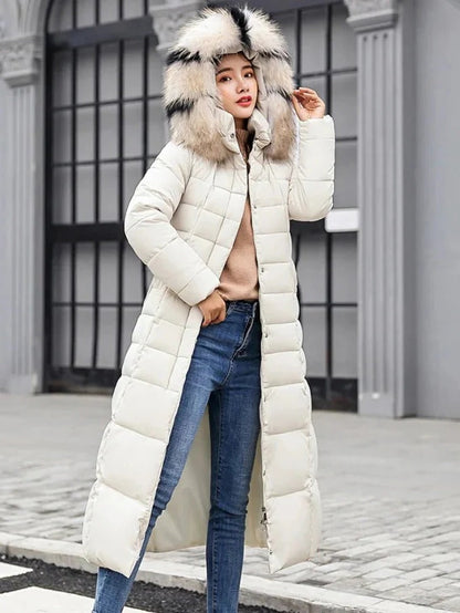 Womens Regular Fit Cold Weather Jacket with Long Sleeves in 6 Colors for Fall and Winter