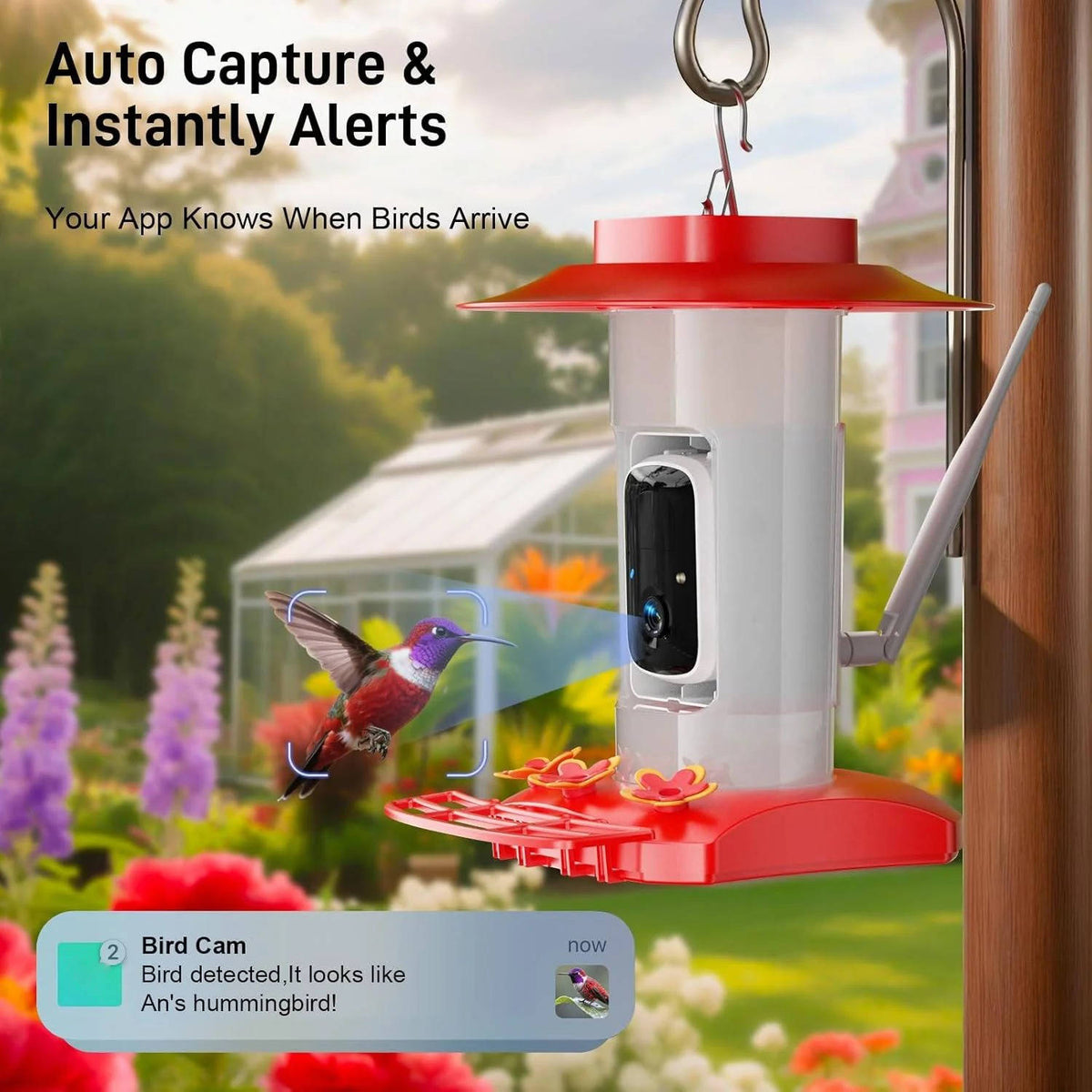 Solar Powered Hummingbird Feeder Camera with 2K Video and Wi Fi App Alerts