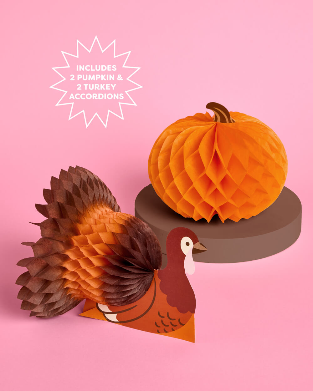 Accordion Paper Decorations with Turkey and Pumpkin Designs, 4-Piece Fall Set